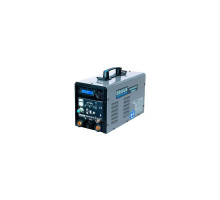 Сварочный инвертор Ergus WIG 170 HF CDI (DDD115.170.T-E.01.00)