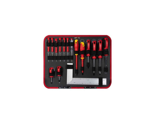 Купить Ящик инструментов Holzmann WZK167PRO