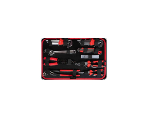 Купить Ящик инструментов Holzmann WZK167PRO