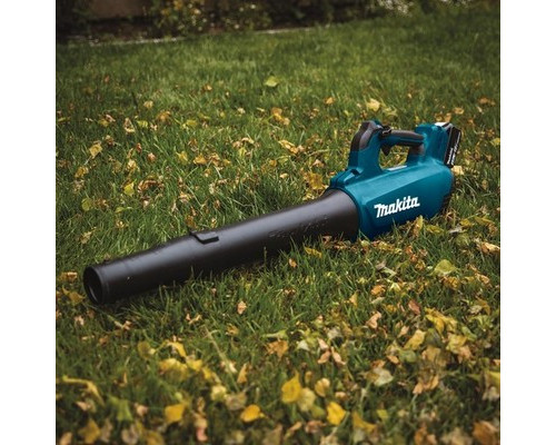Купить Аккумуляторная воздуходувка Makita DUB184Z (без АКБ)