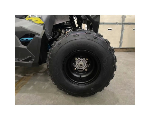 Купить Квадроцикл MIKILON HAMMER 125 Серый