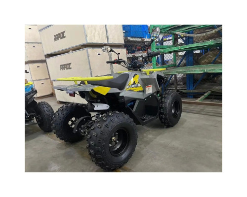 Купить Квадроцикл MIKILON HAMMER 125 Серый