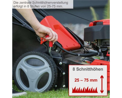 Купить Газонокосилка бензиновая Scheppach MS150-46E (5911244903)