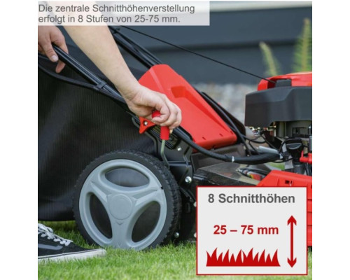 Купить Газонокосилка бензиновая Scheppach MP150-46 (5911244906)