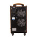 Купить Аппарат аргонодуговой сварки Welding Dragon TIG-315P AC/DC