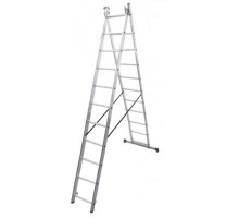 Сходи 2-х секційна VIRASTAR DUOMAX 2x11 (VDL211)