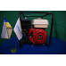 Купить Мотопомпа Daishin SST-50HX (2054602).