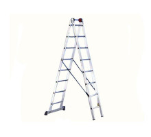 Двухсекционная лестница SVELT EURO E2 10 STEPS  SCE20020