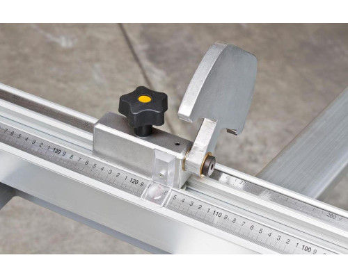 Купить Форматно-раскроечный станок Holzmann FKS 315VFN-3200