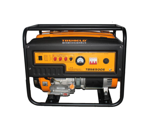 Купить Бензиновый генератор EF Power TBS6500S