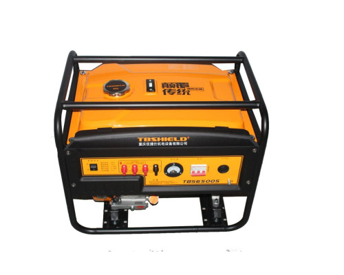 Купить Бензиновый генератор EF Power TBS6500S