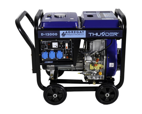 Купити Дизельний генератор THUNDER D-12000