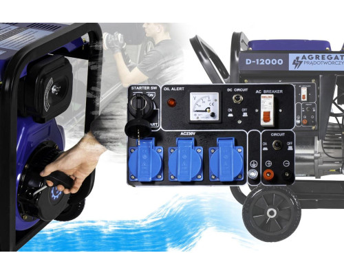 Купити Дизельний генератор THUNDER D-12000